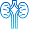 h1 sv icon 4