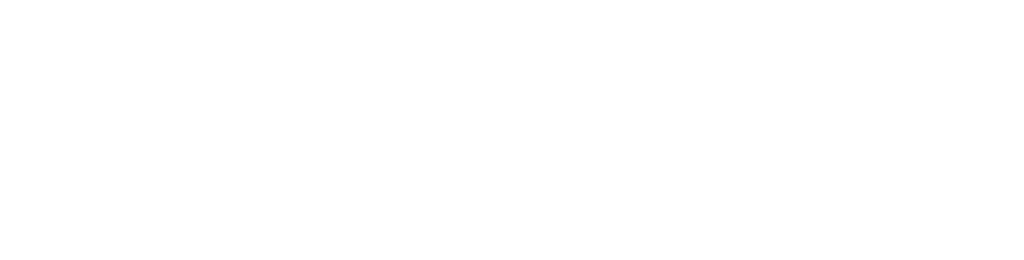 elcamm ecografi spirometri mir logo BIANCO